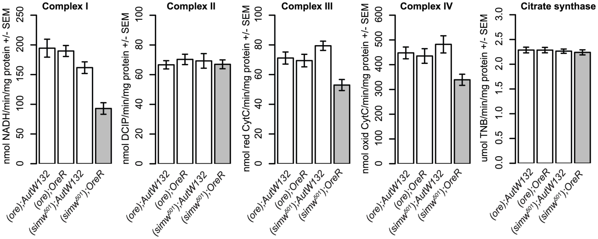 The mitochondrial-nuclear incompatibility decreases the activity of OXPHOS complexes that are mitochondrially translated.