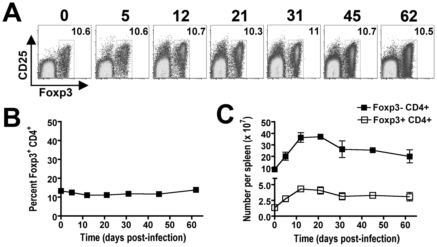 Parallel expansion of Foxp3<sup>+</sup> and Foxp3-negative CD4<sup>+</sup> T cells during persistent <i>Salmonella</i> infection.
