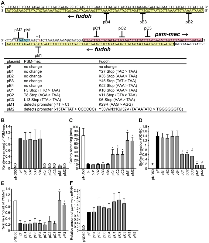 Analysis of nucleotide substitutions in the F region.