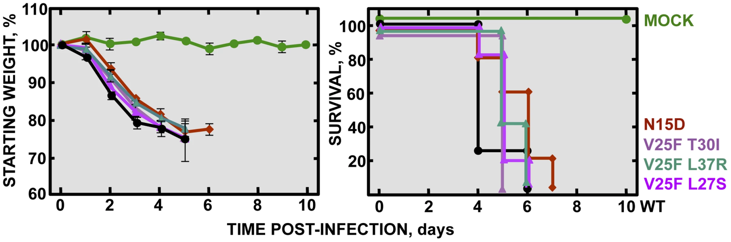 Pathogenesis caused by rSARS-CoV-EIC<sup>rev</sup> in BALB/c mice.