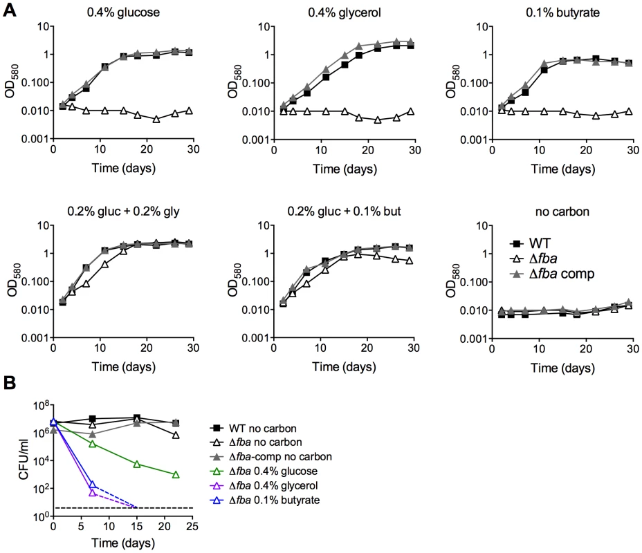 FBA is required for growth and survival in single carbon sources.