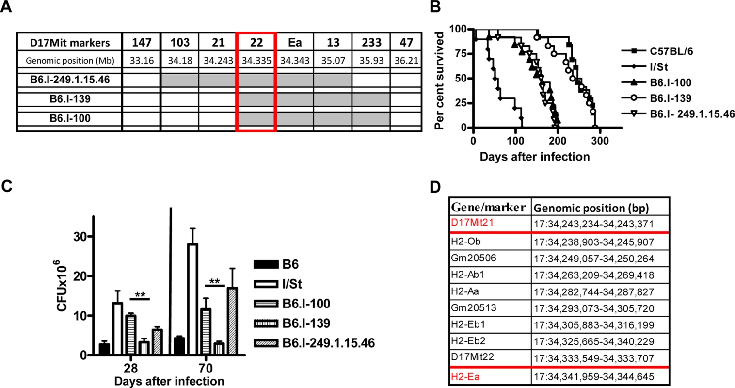 Genotypes and TB phenotypes of new recombinant mouse strains B6.I-100 and B6.I-139.