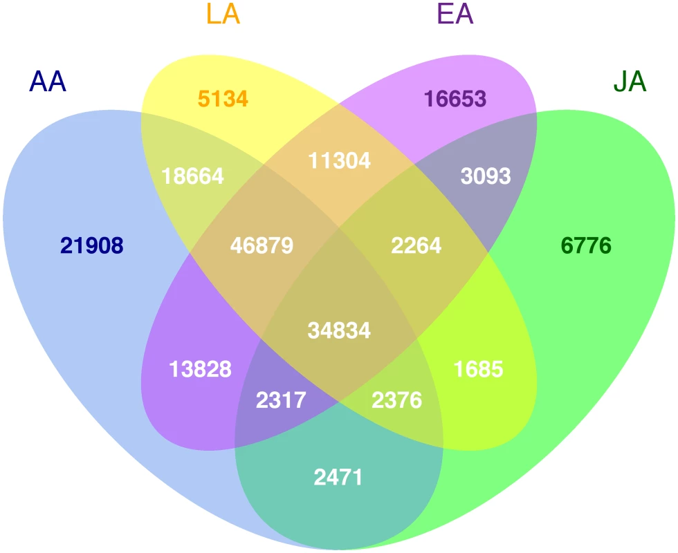 Number of polymorphic putative functional variants by racial/ethnic group.