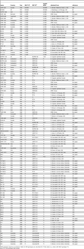 <i>Pto</i> isolates used in this study sorted first by MLST genotype (GT) and then by year of isolation.