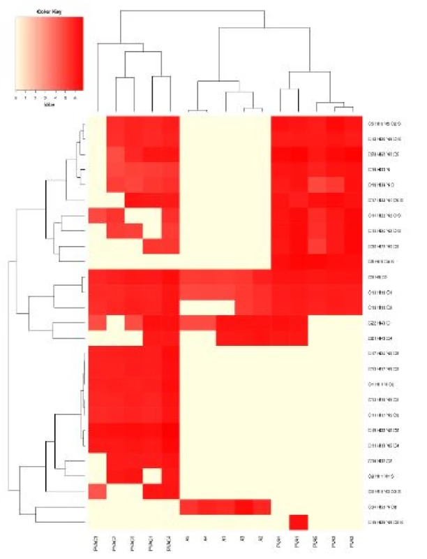 The heatmap with detected compounds above 1.2
mil interacting with the sorbent. The scale is in decadic
logarithm. For the heatmap which depicts all detected
molecules - see The Appendix.