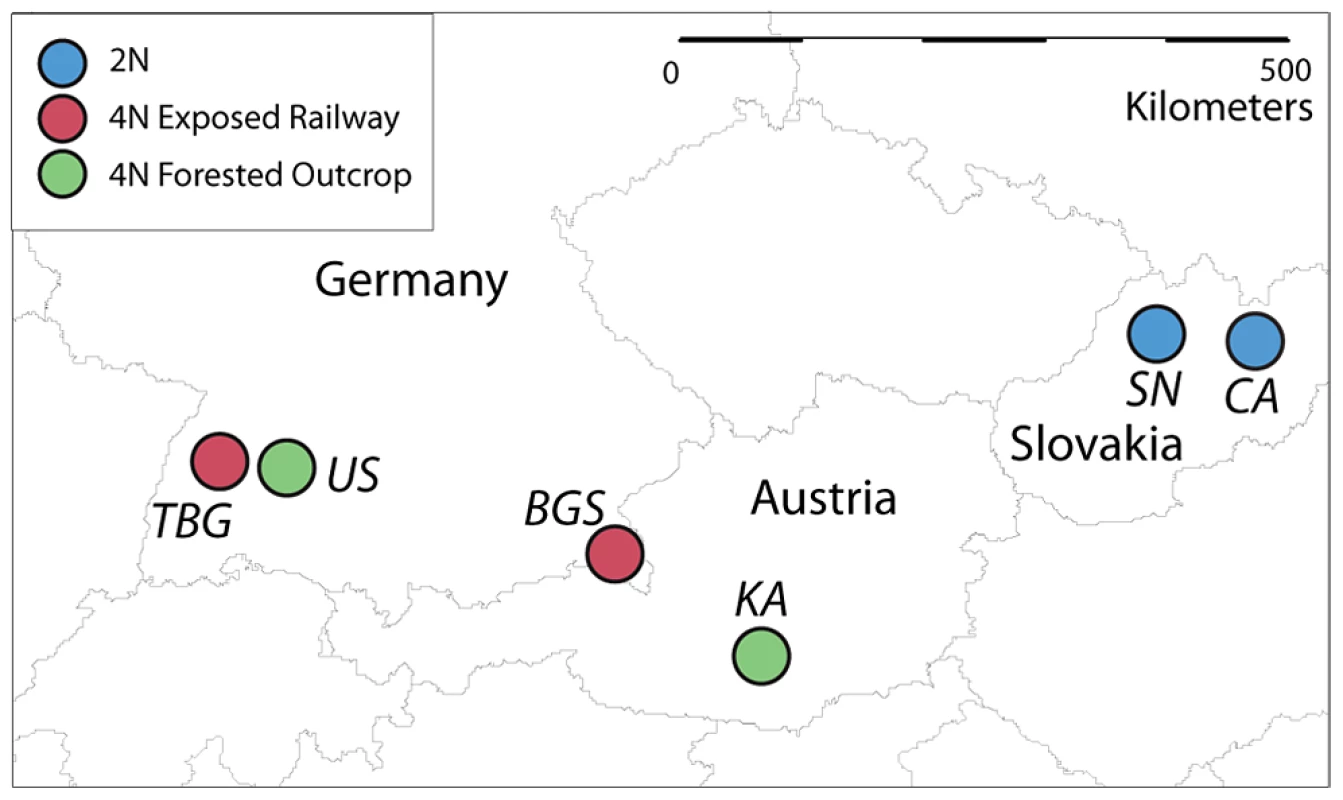 Geographic locations of <i>A. arenosa</i> populations sampled in this study.