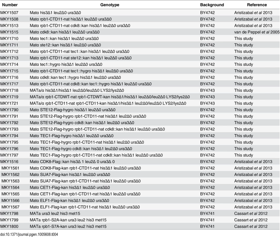 Strains used in this study.