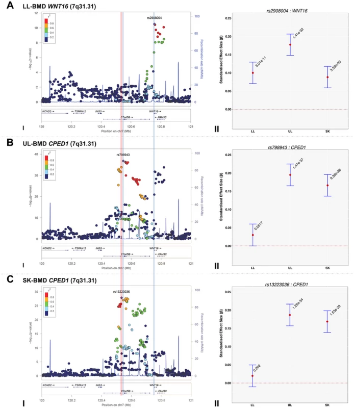 Regional association plots of the top SNPs associated with total-body less head-, lower limb-, upper limb- and skull-BMD at the 7q31.31 locus, in addition to a comparison of the effect size of the top site-specific SNP on BMD at the three different skeletal sites.