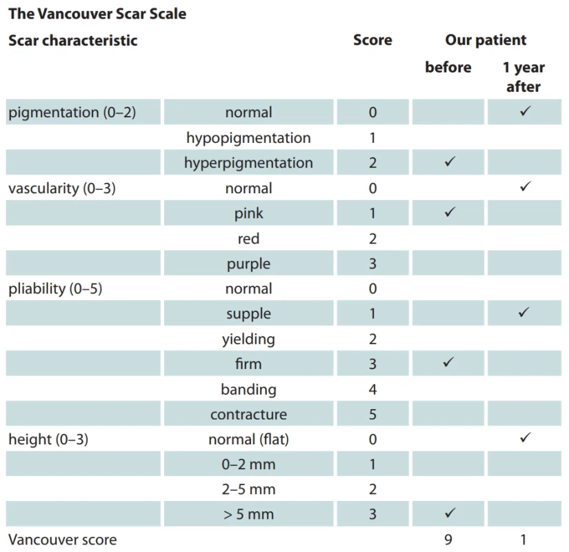 The Vancouver Scar Scale with patient assessment.