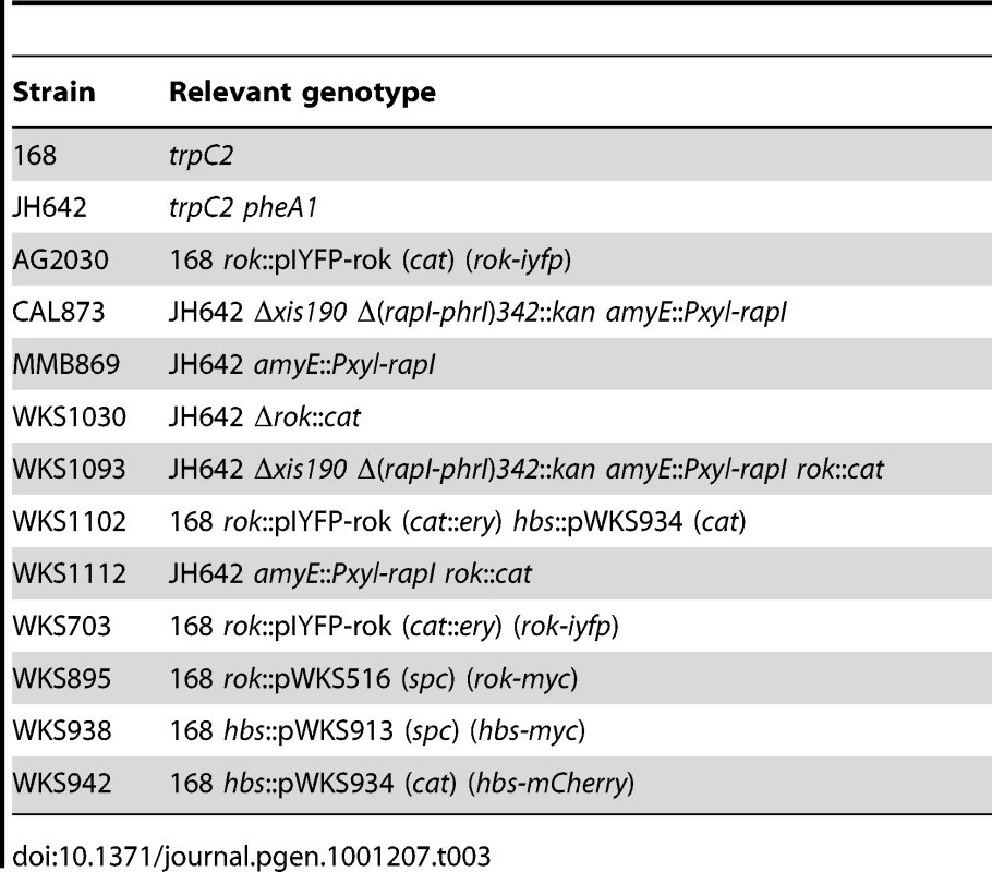 <i>B. subtilis</i> strains.