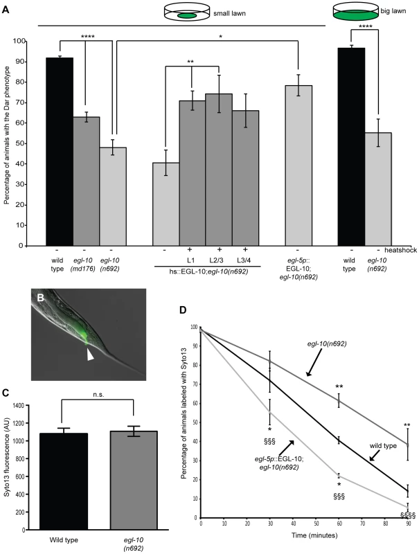 The Gαo RGS EGL-10 is required in rectal epithelial cells to regulate the immune response and affect pathogen clearance.