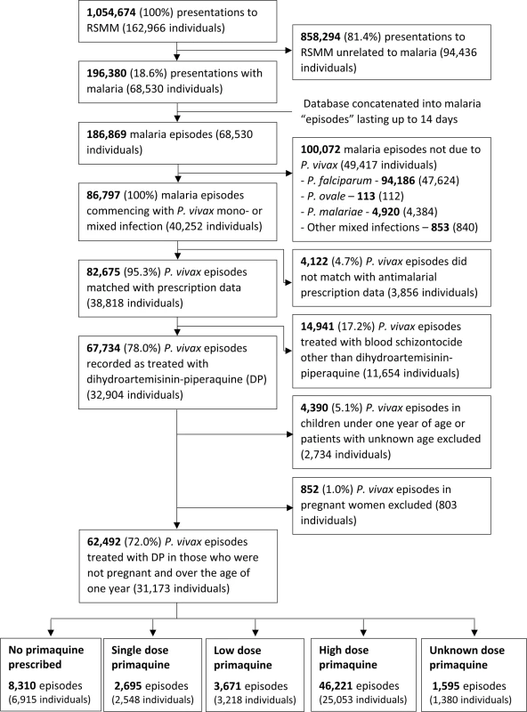 Study profile.
