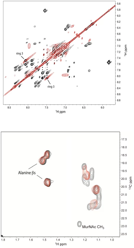 Analysis of the BAS00127538-lipid II complex by NMR.