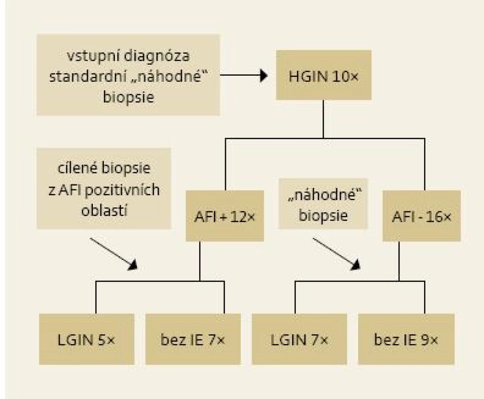 Výsledky cílených biopsií z AFI pozitivních lézí u pacientů s LGIN.
Fig. 5. Results of targeted biopsies from AFI-positive area in patients with LGIN.