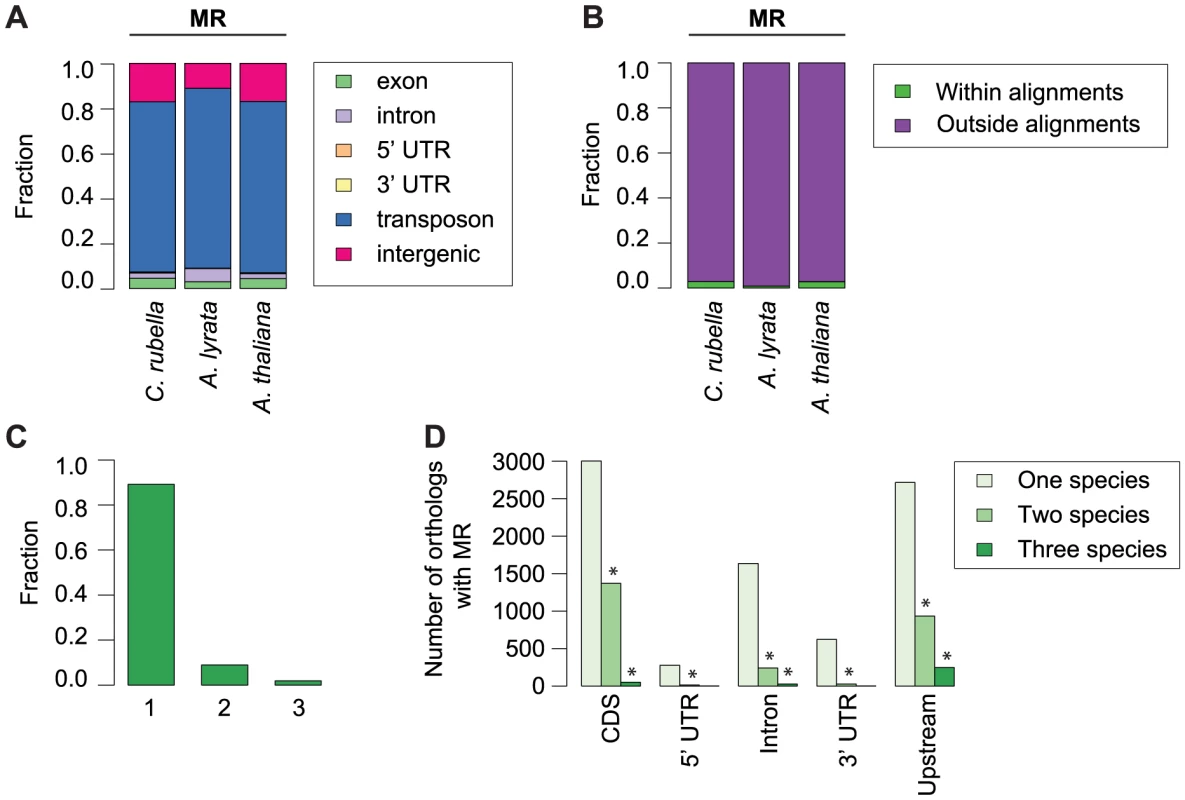 Conservation of methylated regions (MR).