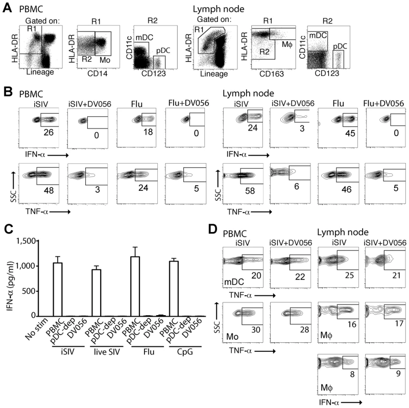 TLR7 and TLR9 antagonist selectively blocks proinflammatory cytokine production from uninfected rhesus macaque pDC.