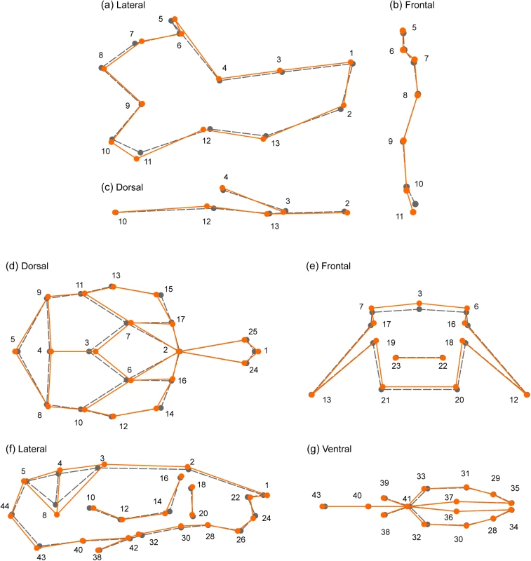 Changes in mandible (a-c) and skull (d-g) shape associated with the SNPs of largest effect.