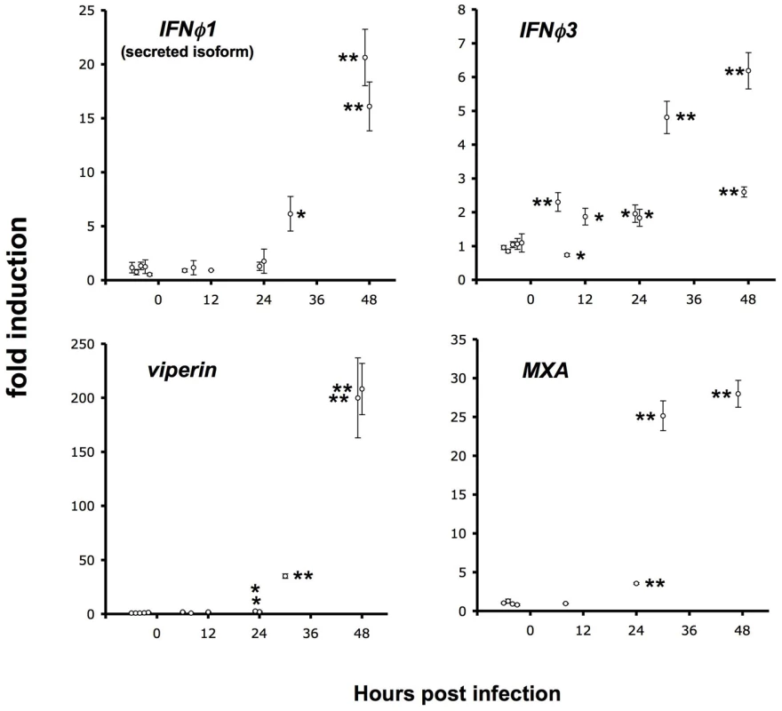 Late induction of host response.