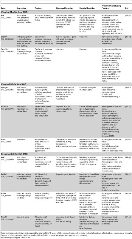 Functions of genes identified as determinants of bone strength.
