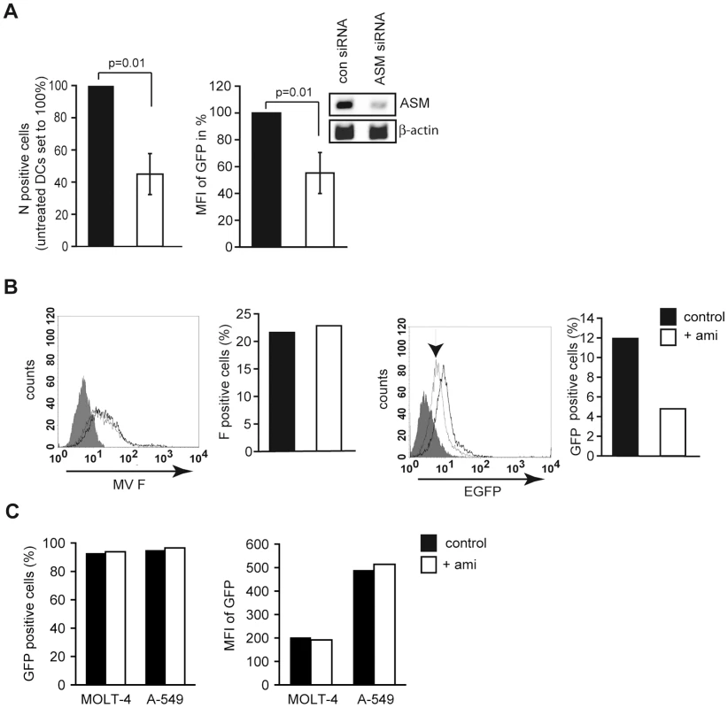 SMase activation enhances MV infection of DCs.