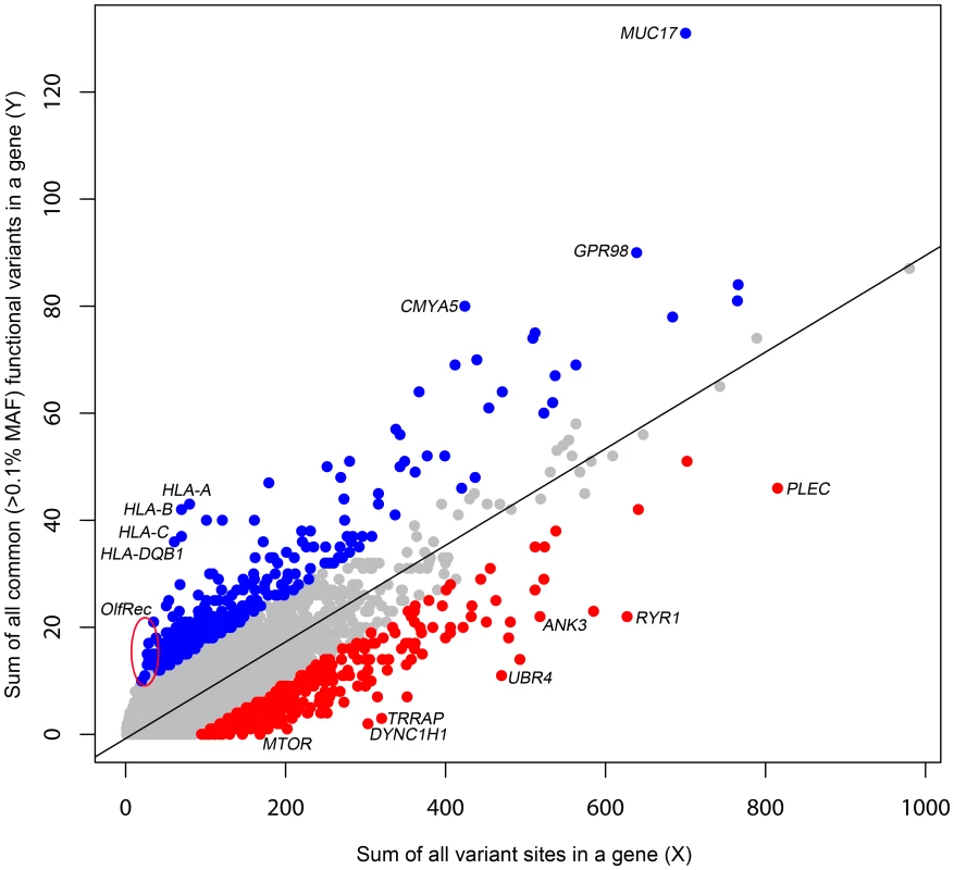 A regression plot illustrating the regression of Y on X.