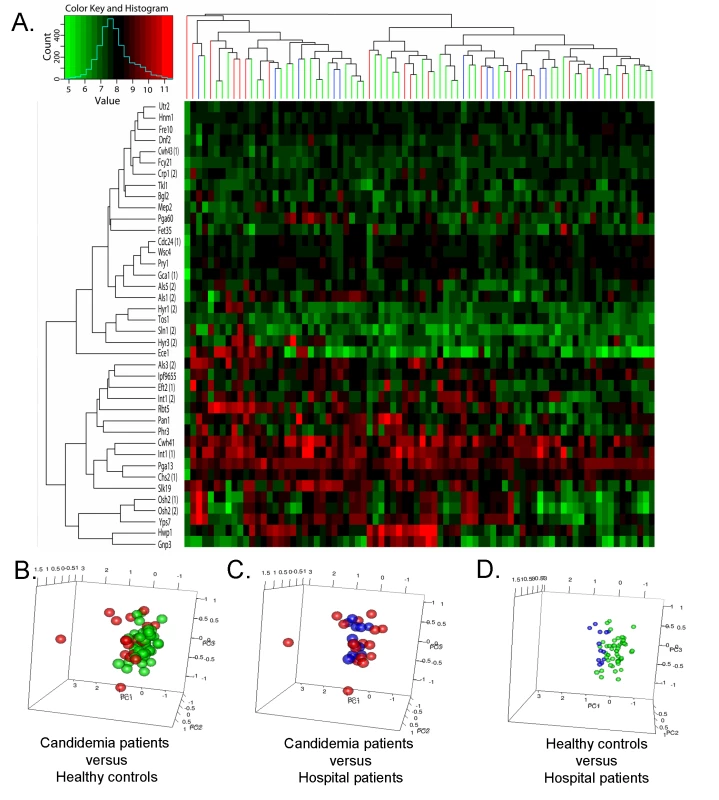 Prevalence of the serodominant anti-<i>C. albicans</i> cell surface IgGs in the study population.