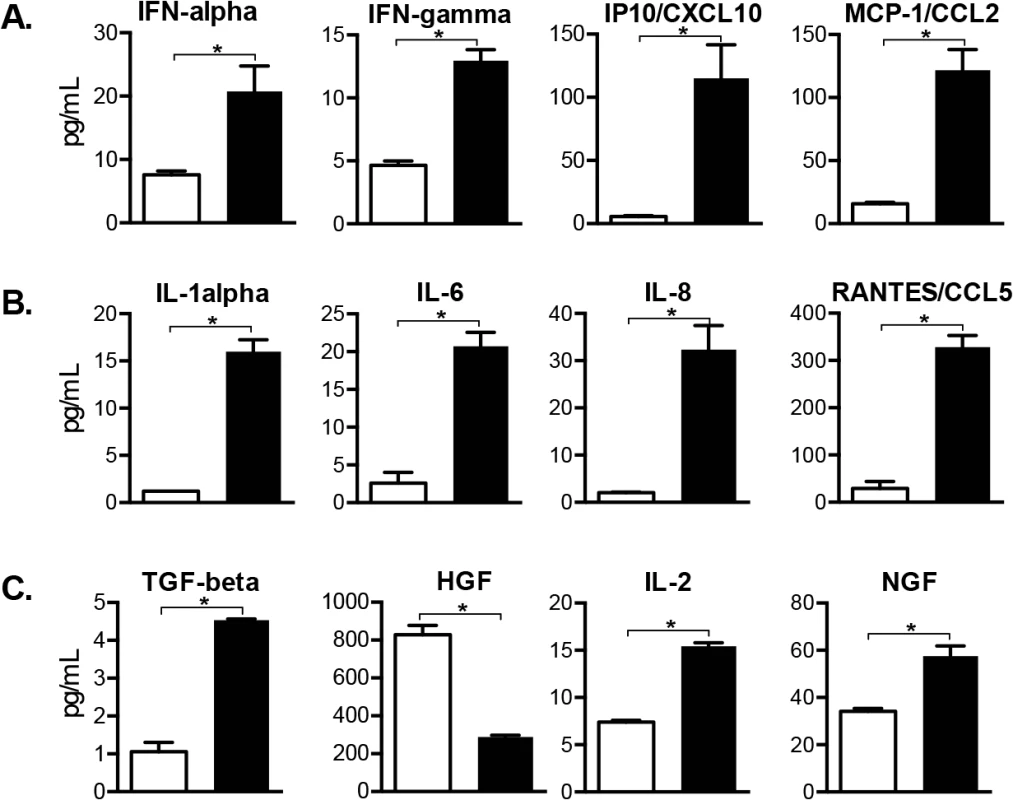 Cellular factors induced in VZV-infected DRG include antiviral and pro-inflammatory cytokines.