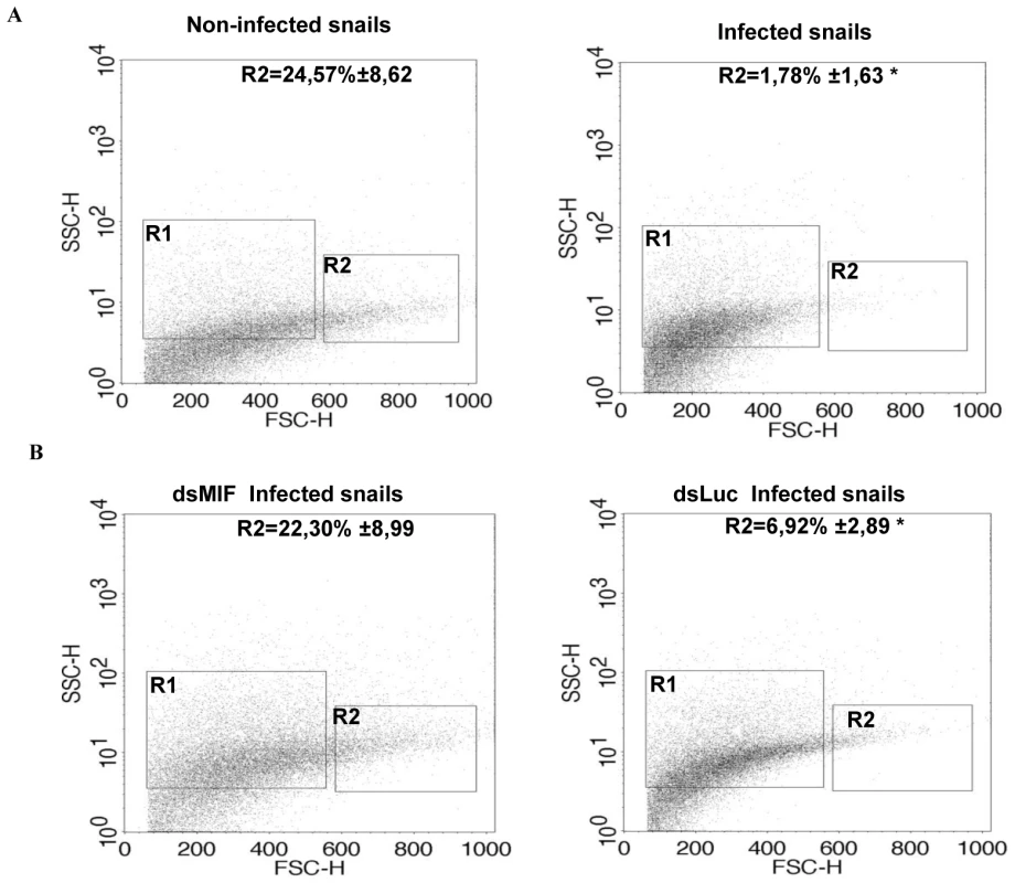 BgMIF is implicated in hemocyte activation in response to parasitic infection <i>in vivo</i>.