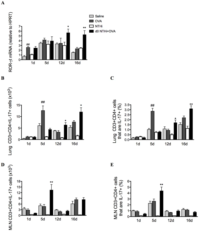 NTHi infection induces Th17 cell differentiation and IL-17 production from Th17 cells in neutrophilic AAD.