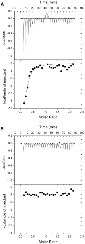 Pyocin L1 binds strongly to CPA from <i>P. aeruginosa</i> PAO1.