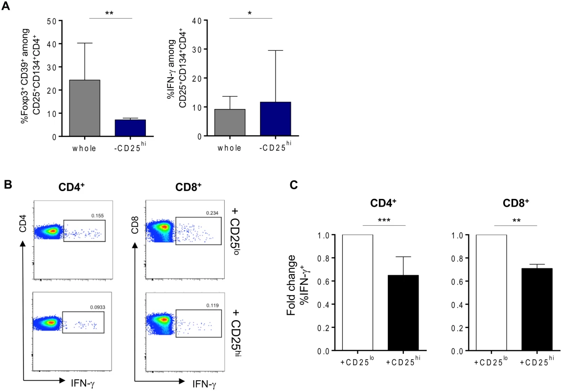 Tregs can suppress HIV-specific responses in vitro.