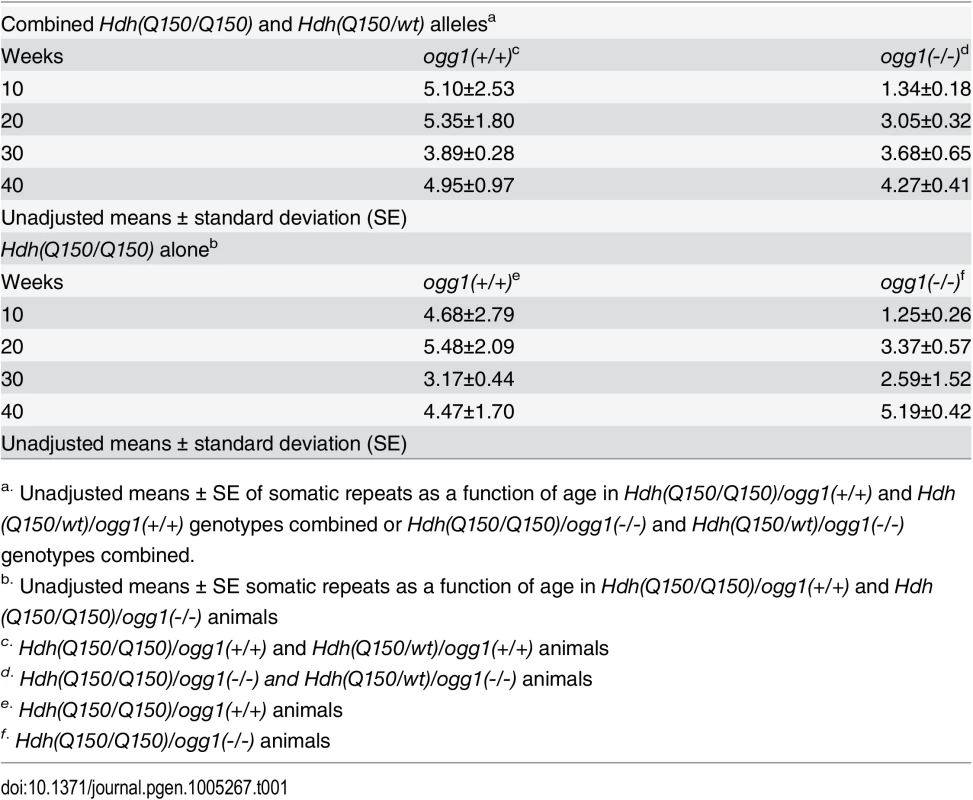The average number of somatic CAG repeat changes in <i>Hdh(Q150/Q150) and Hdh(Q150/wt)</i> animals by age and OGG1 knockout status.