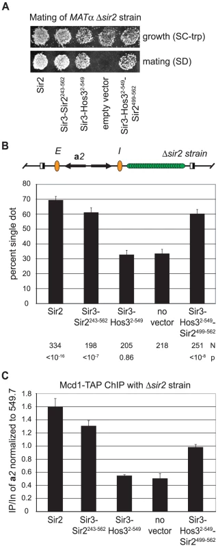 Binding of cohesin at <i>HMR</i> requires Sir2.