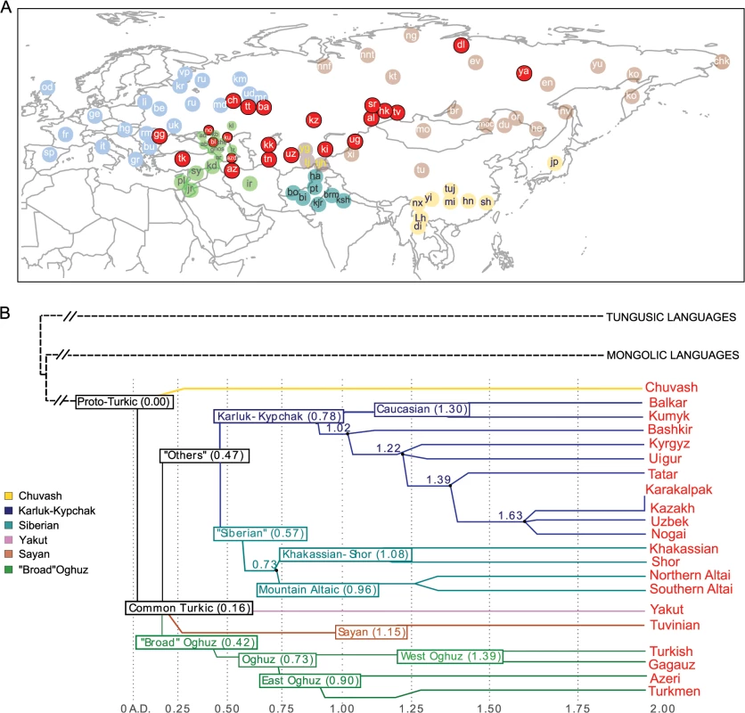 Geographic map of samples included in this study and linguistic tree of Turkic languages.
