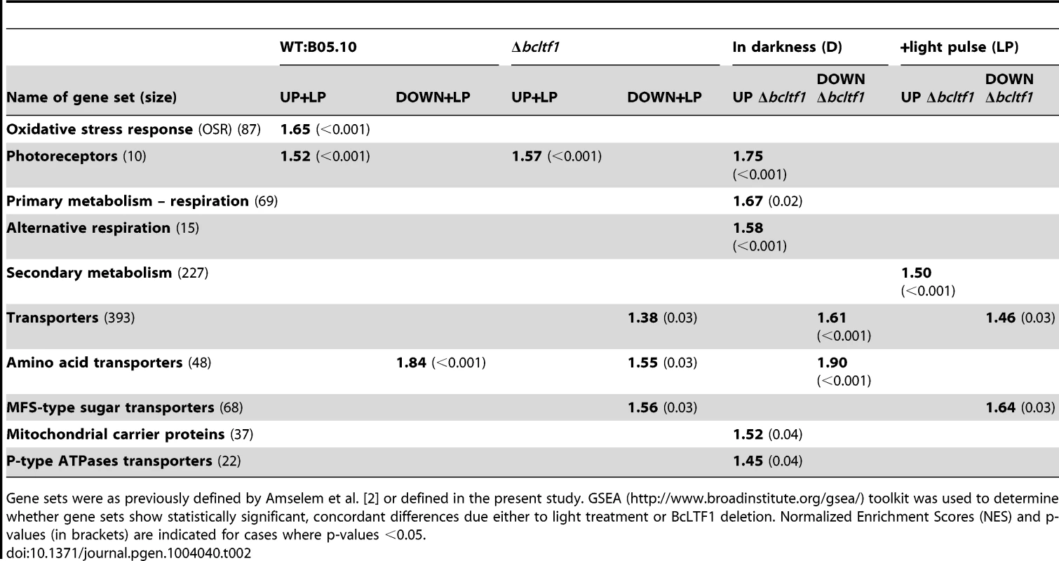 Functional categories that are enriched due to light treatment or deletion of BcLTF1.