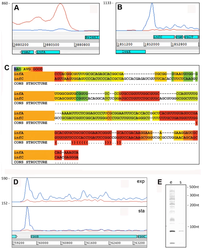 5’ UTRs from genes involved in transcription and translation.