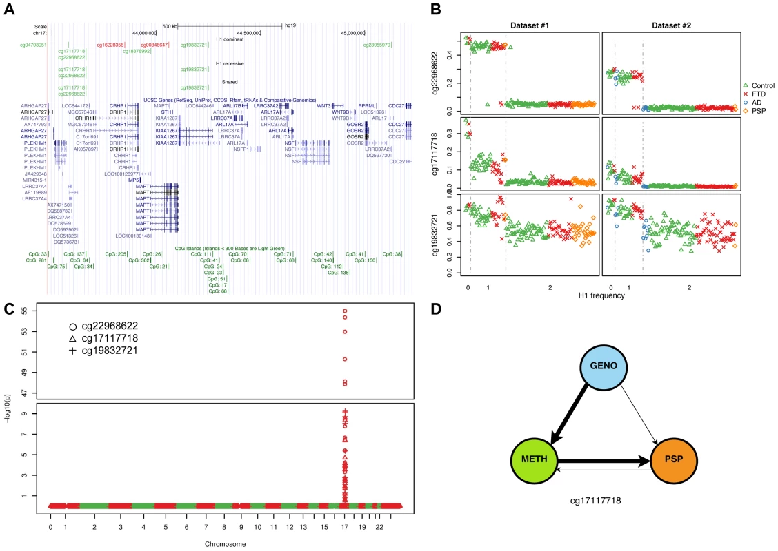 Methylation-QTL at 17q21.31.