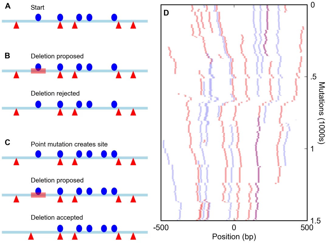 Simulation of enhancers under a compositional constraint.