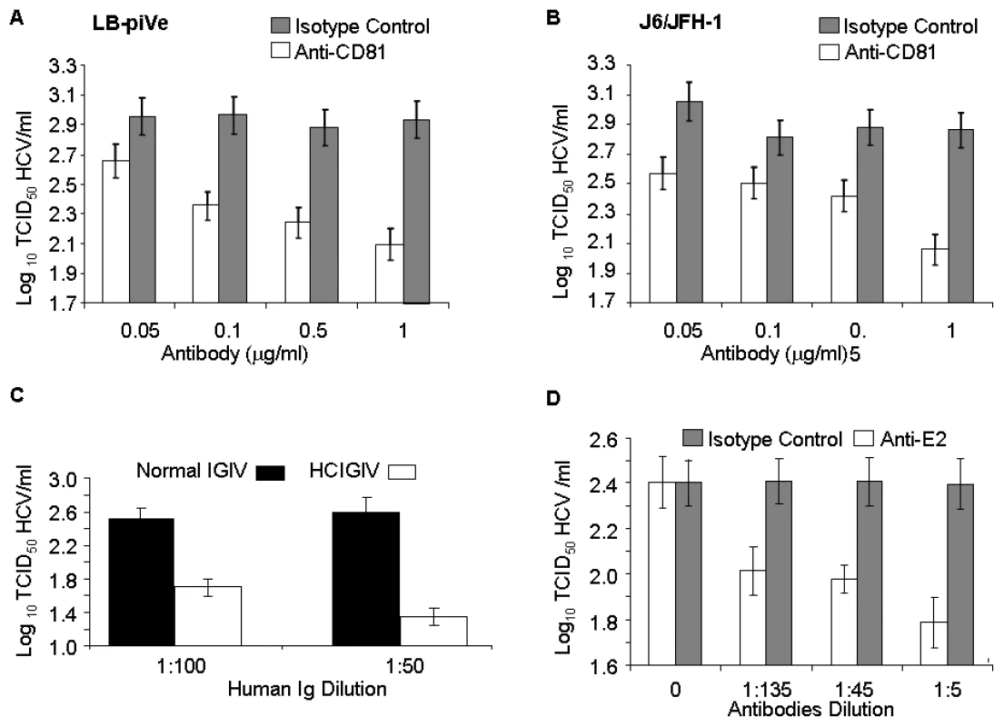 Virus neutralization by anti-CD81 and anti-HCV antibodies.