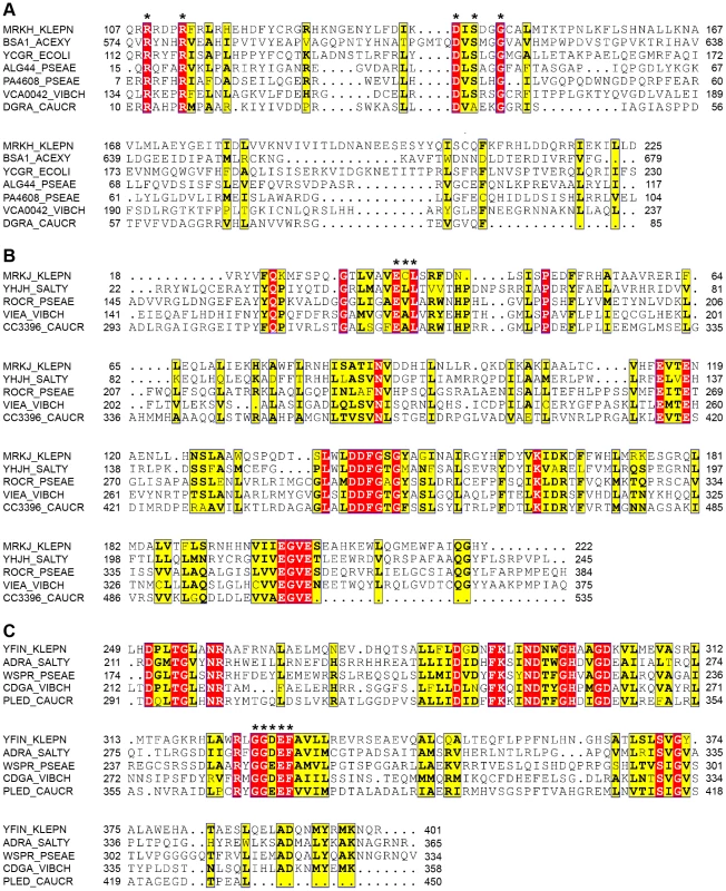 Conservation of PilZ-, EAL- and GGDEF-domain proteins in <i>K. pneumoniae</i>.
