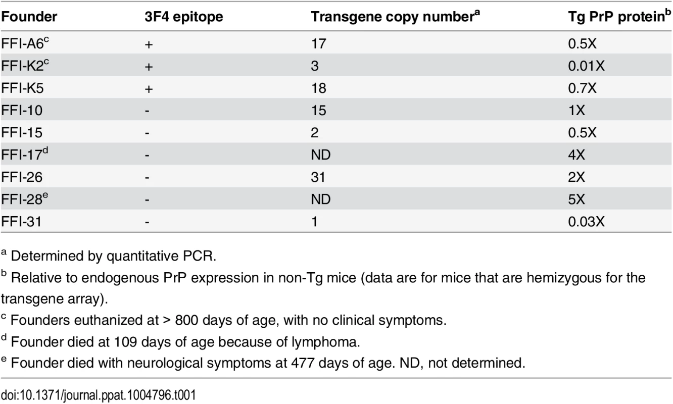 Characteristics of founders carrying the D177N/M128 transgene.