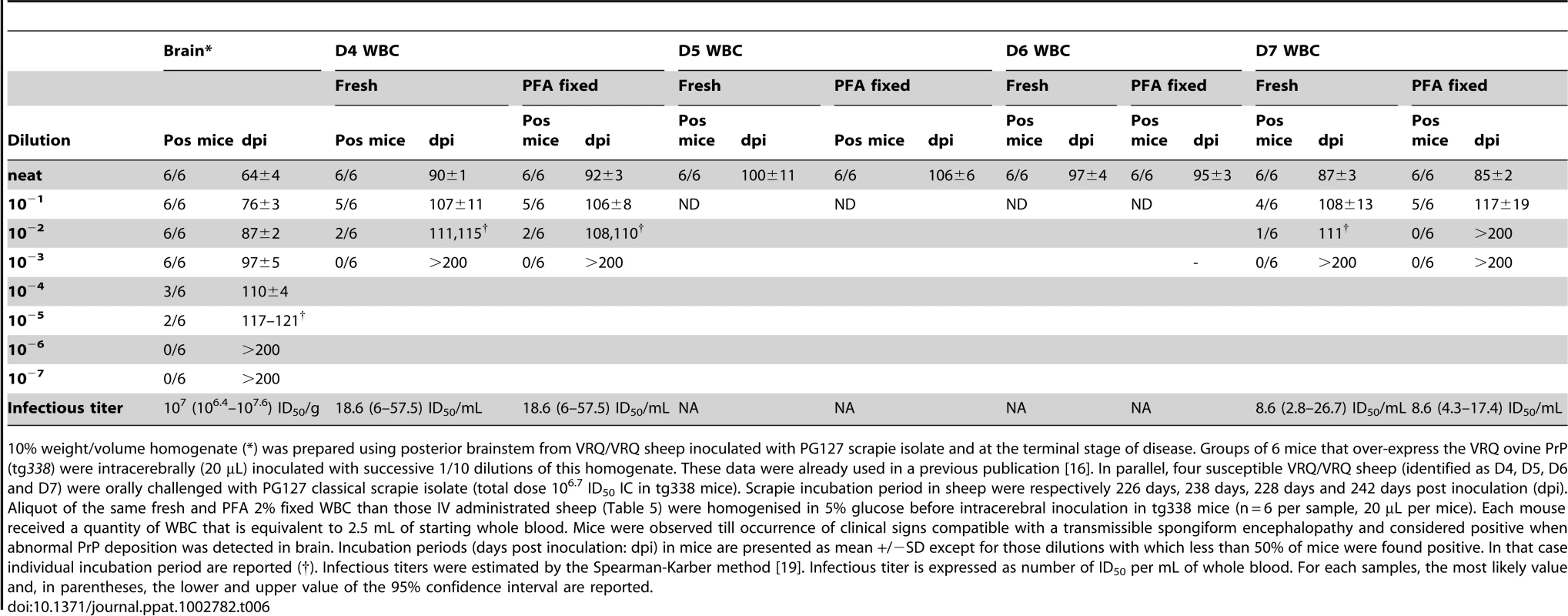 End-point titration in tg338 mice of a 10% brain homogenate and white blood cells samples, collected in VRQ/VRQ sheep orally inoculated with PG127 scrapie.