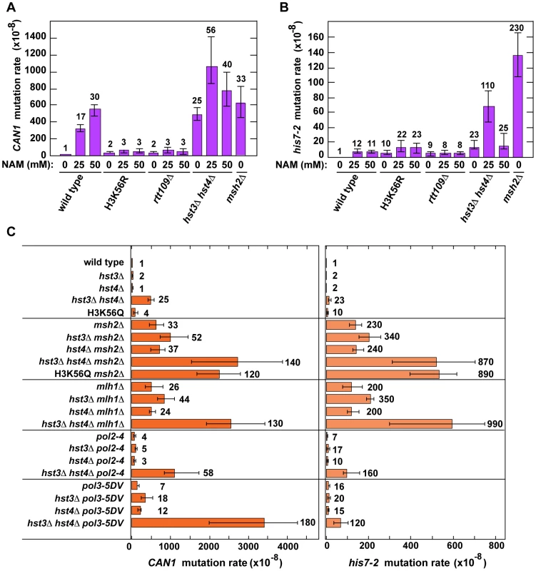 Involvement of H3 K56 deacetylation in the suppression of spontaneous mutagenesis in the yeast <i>S. cerevisiae</i>.