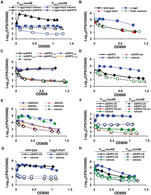 SHP stimulation of luciferase production.