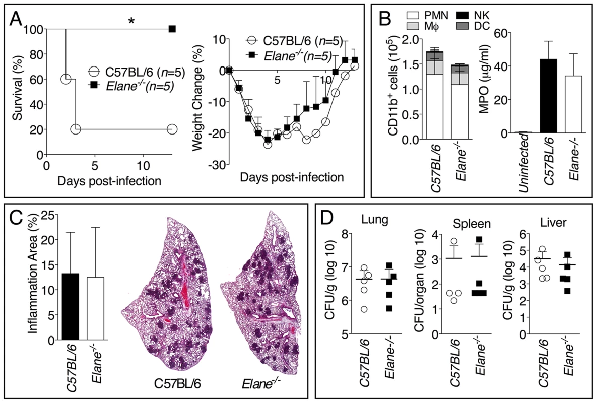 Neutrophil elastase reduces host tolerance to infection with <i>B. pseudomallei</i>.