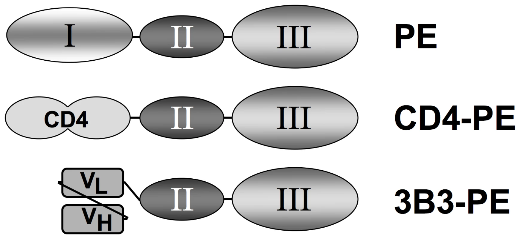 Schematic of Env-targeted toxins based on <i>Pseudomonas</i> exotoxin A.