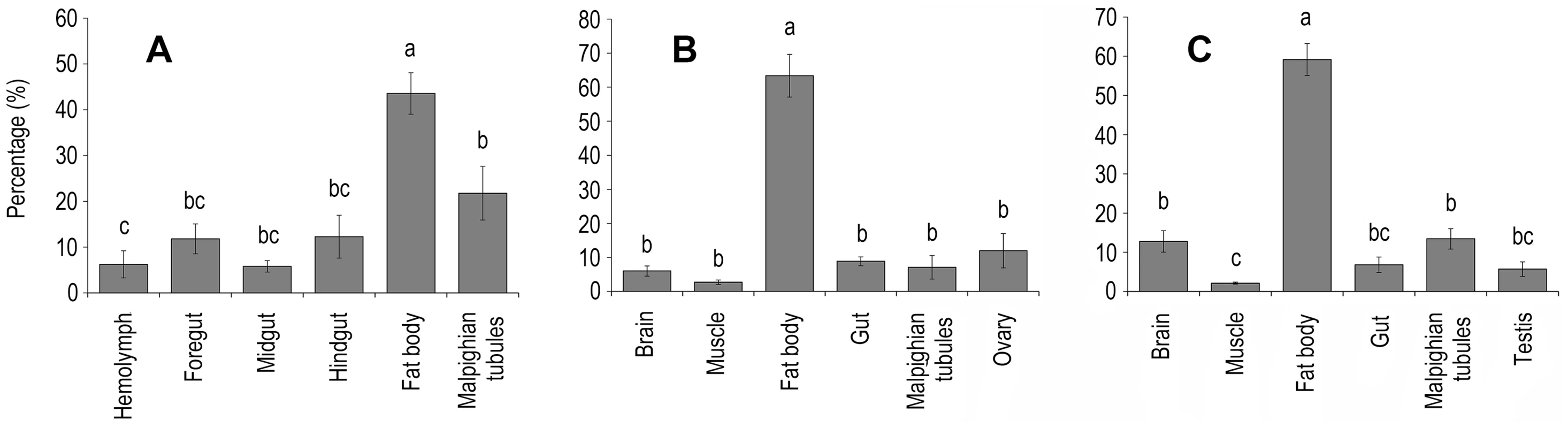 Tissue distribution of the HaDNV-1 in A) larvae, B) adult females and C) adult male cotton bollworms.