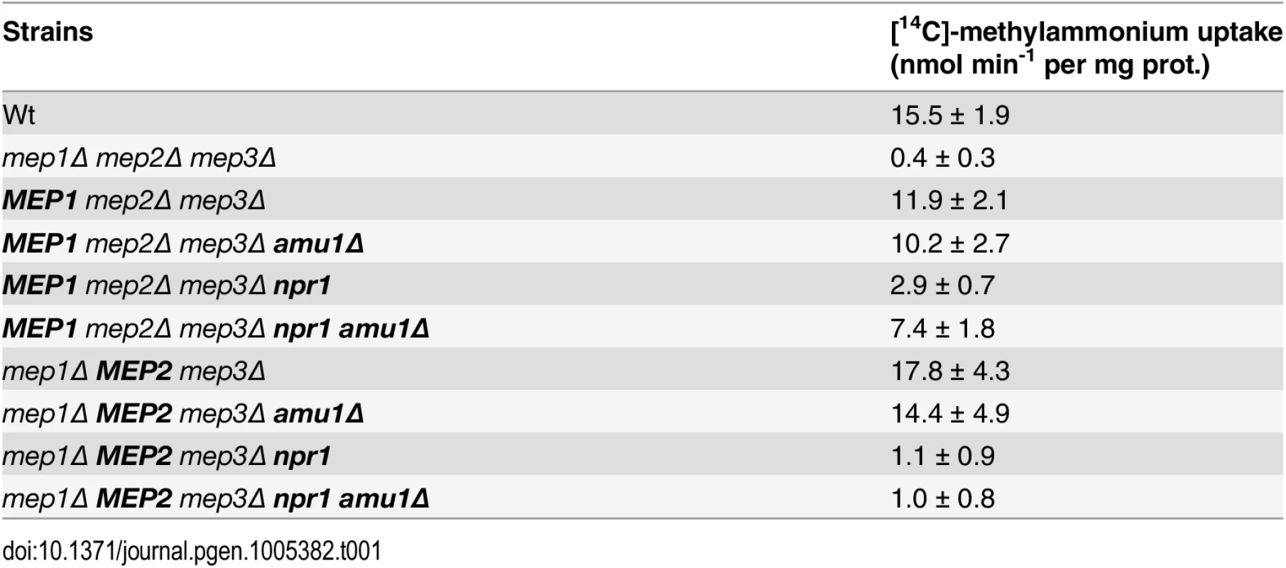 Methylammonium uptake activity.