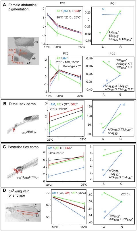 Phenotypic analysis of CRM natural variants.