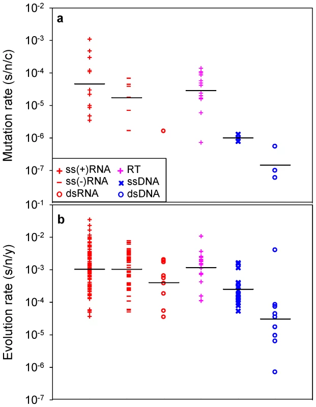 Mutation and evolution rate estimates for the major groups defined by the Baltimore classification of viruses.